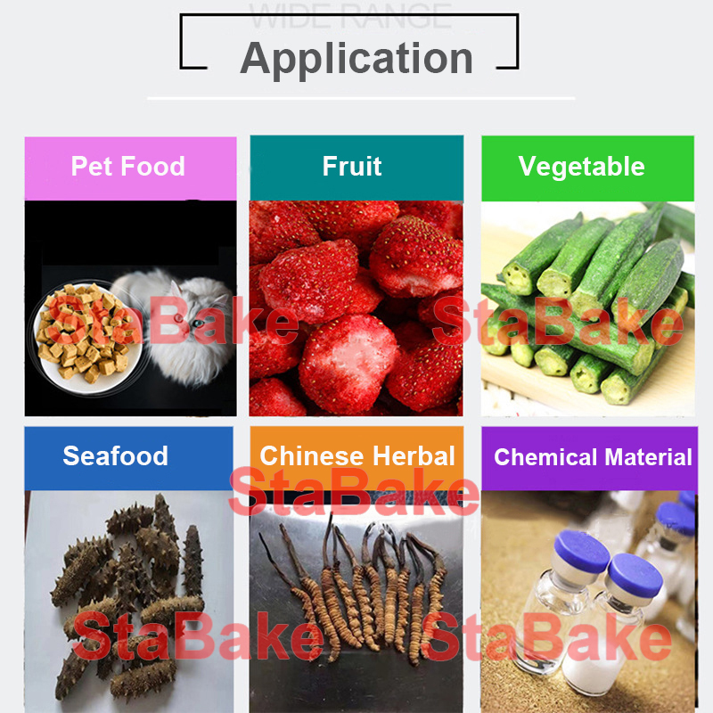 Campo de aplicación de la máquina secadora al vacío por congelación