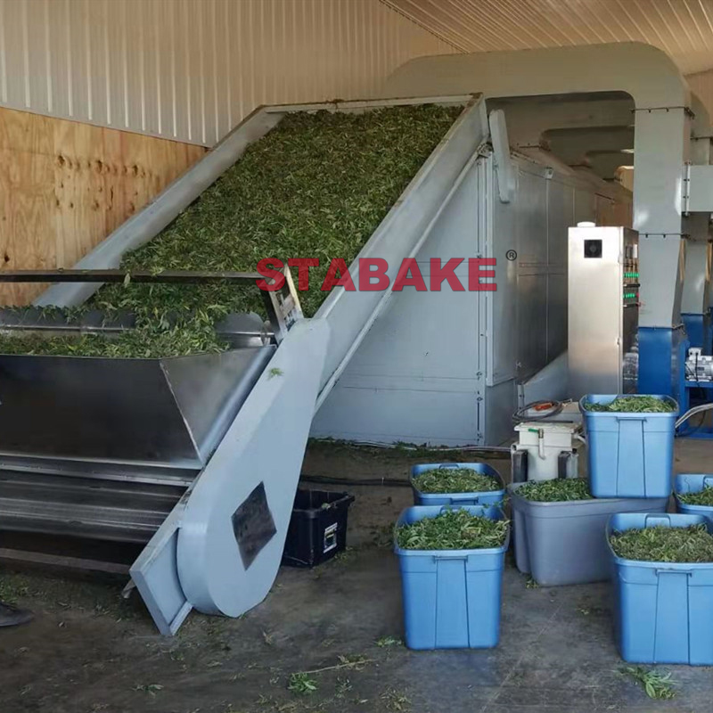 mmexport1571785244012 a&ntilde;os