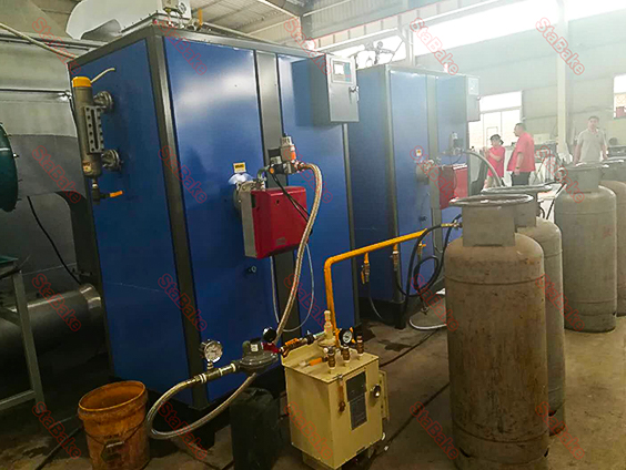 Cliente de máquina secadora de zanahorias de Sudáfrica