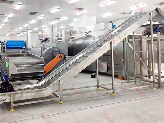 Línea de producción de papas fritas congeladas en Egipto