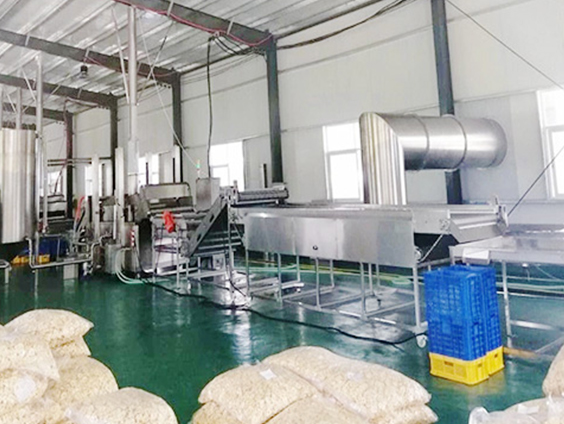 Línea de producción de chips de plátano en Colombia